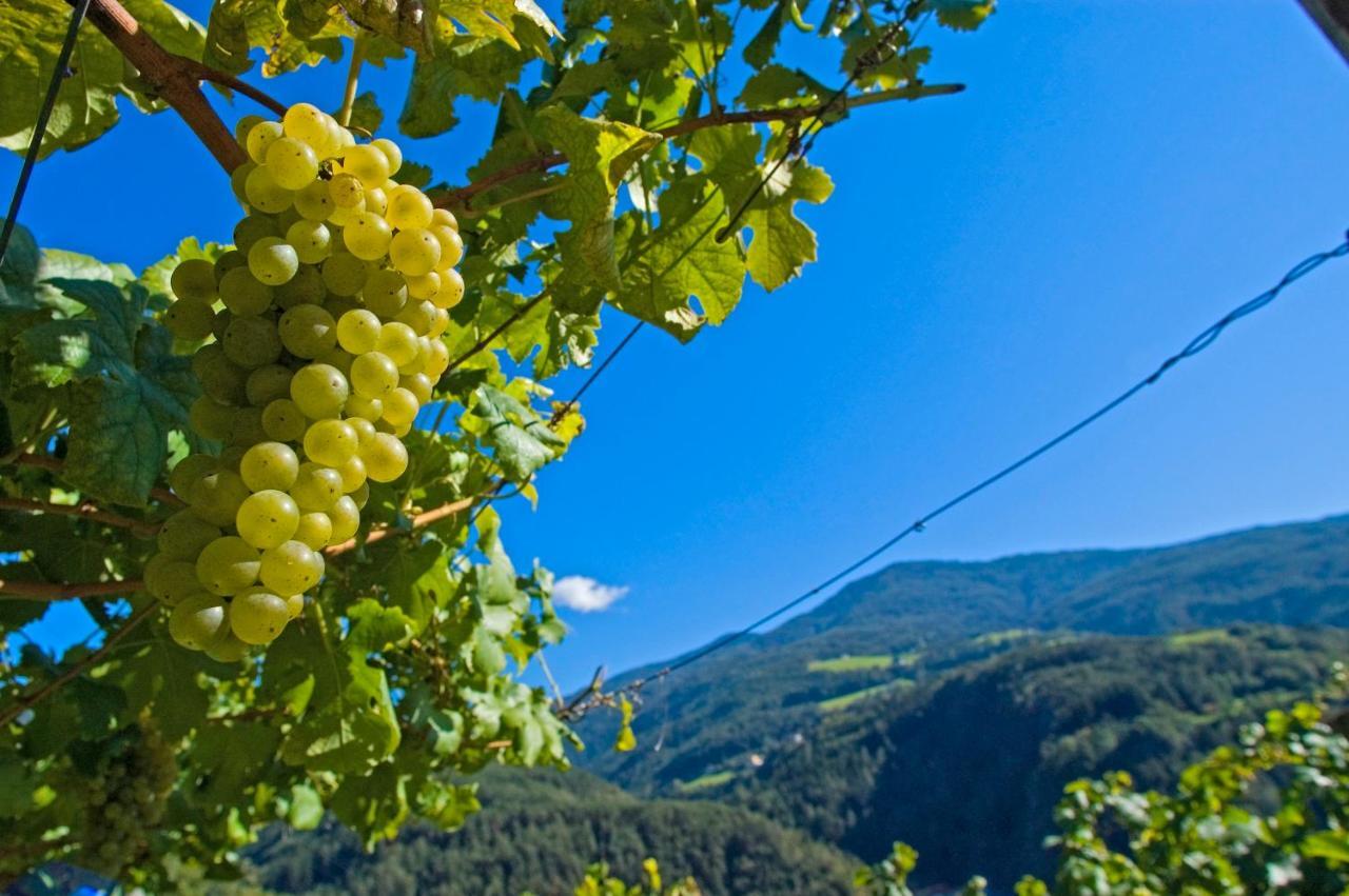 Gasthof Hotel Woehrmaurer Feldthurns Dış mekan fotoğraf